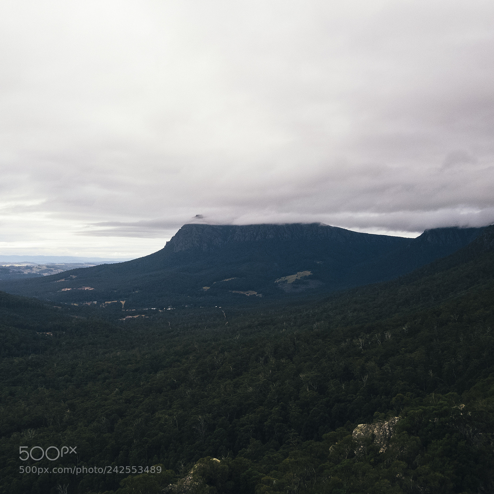 DJI FC220 sample photo. On top of mount photography