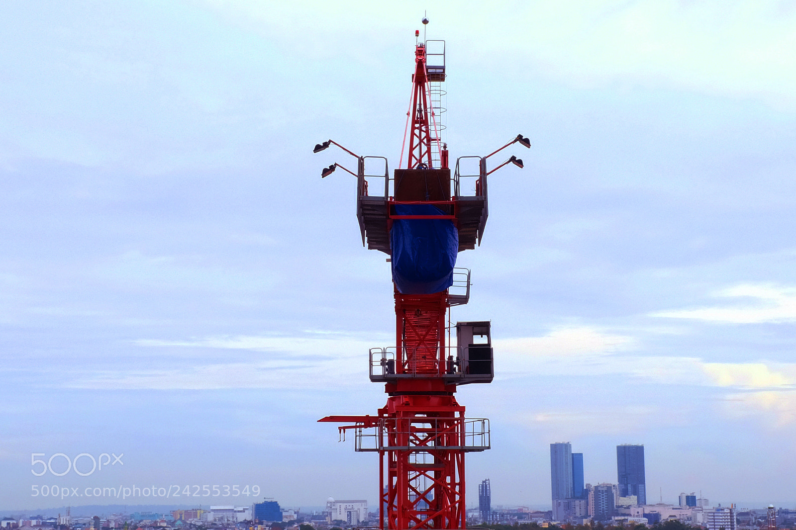Fujifilm X100F sample photo. Crane photography