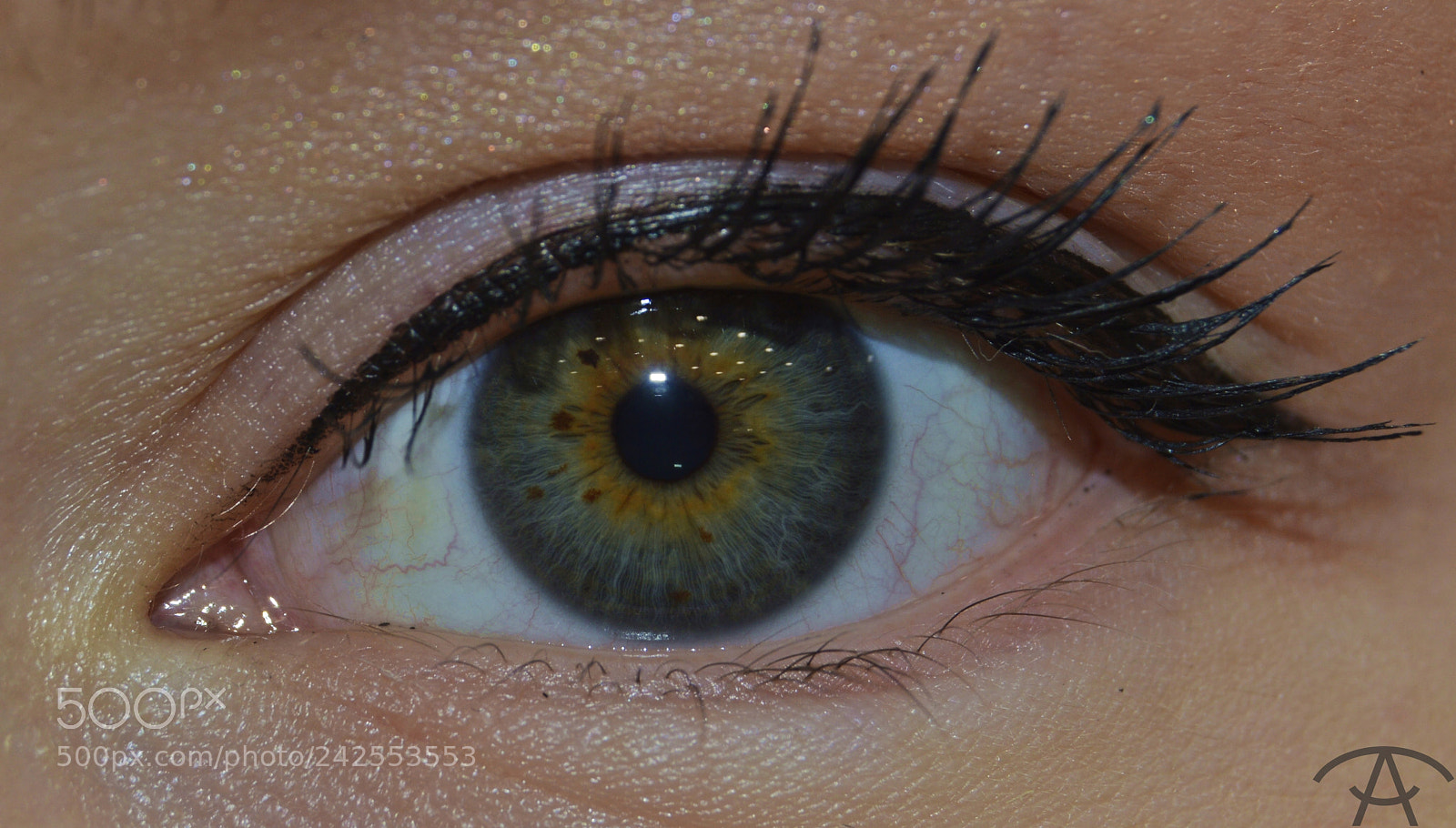Nikon D3200 sample photo. Anastasia photography