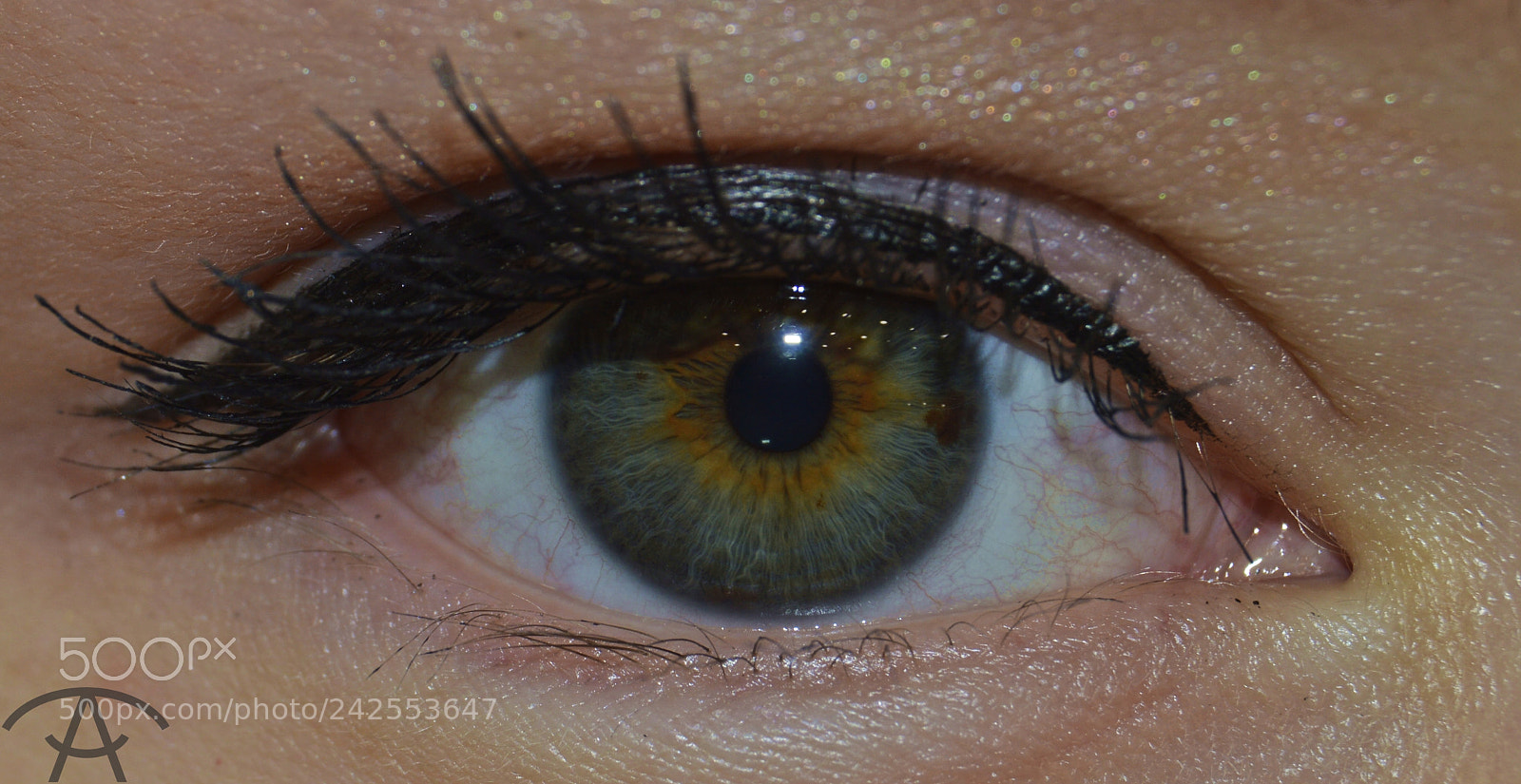 Nikon D3200 sample photo. Anastasia photography