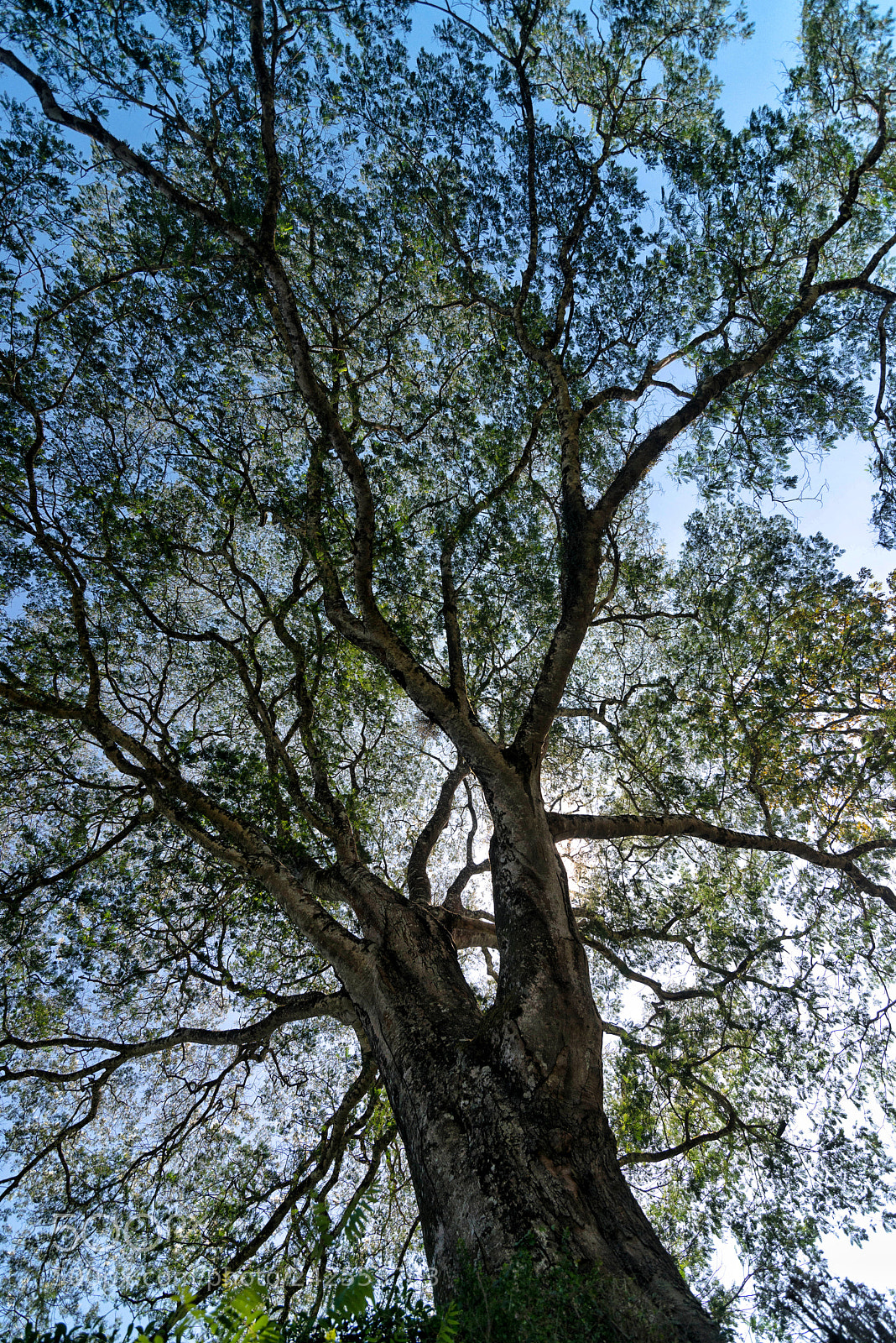 Nikon D800E sample photo. Untitled photography