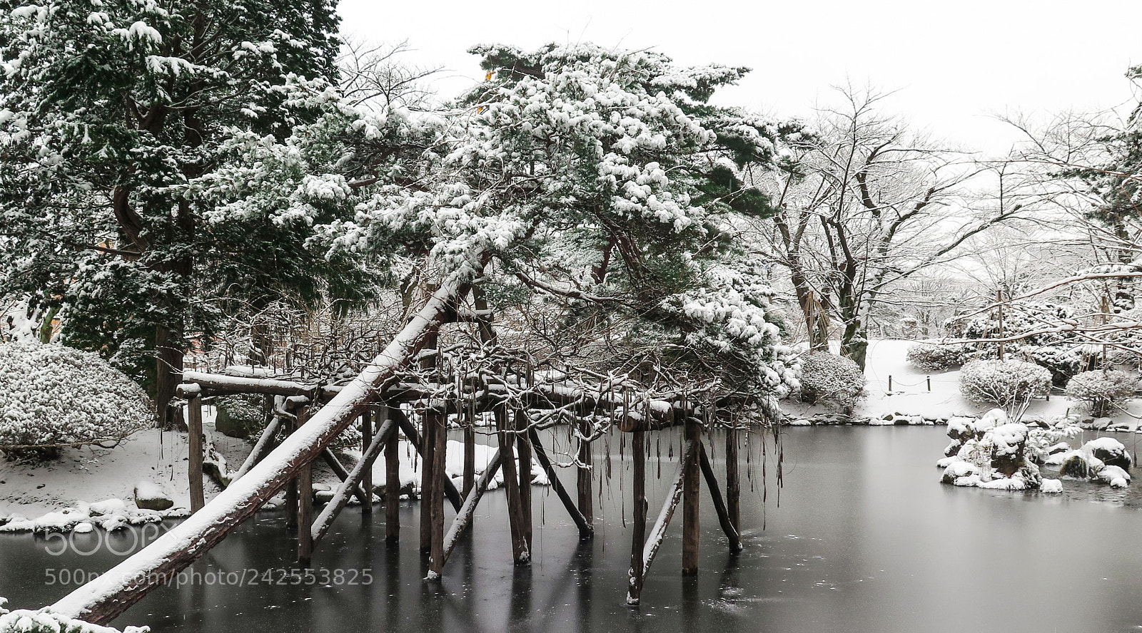 Canon PowerShot G16 sample photo. Senshu park pond photography