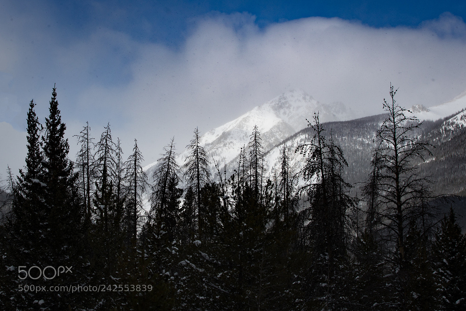 Canon EOS-1D X Mark II sample photo. Rocky mountain high 2 photography