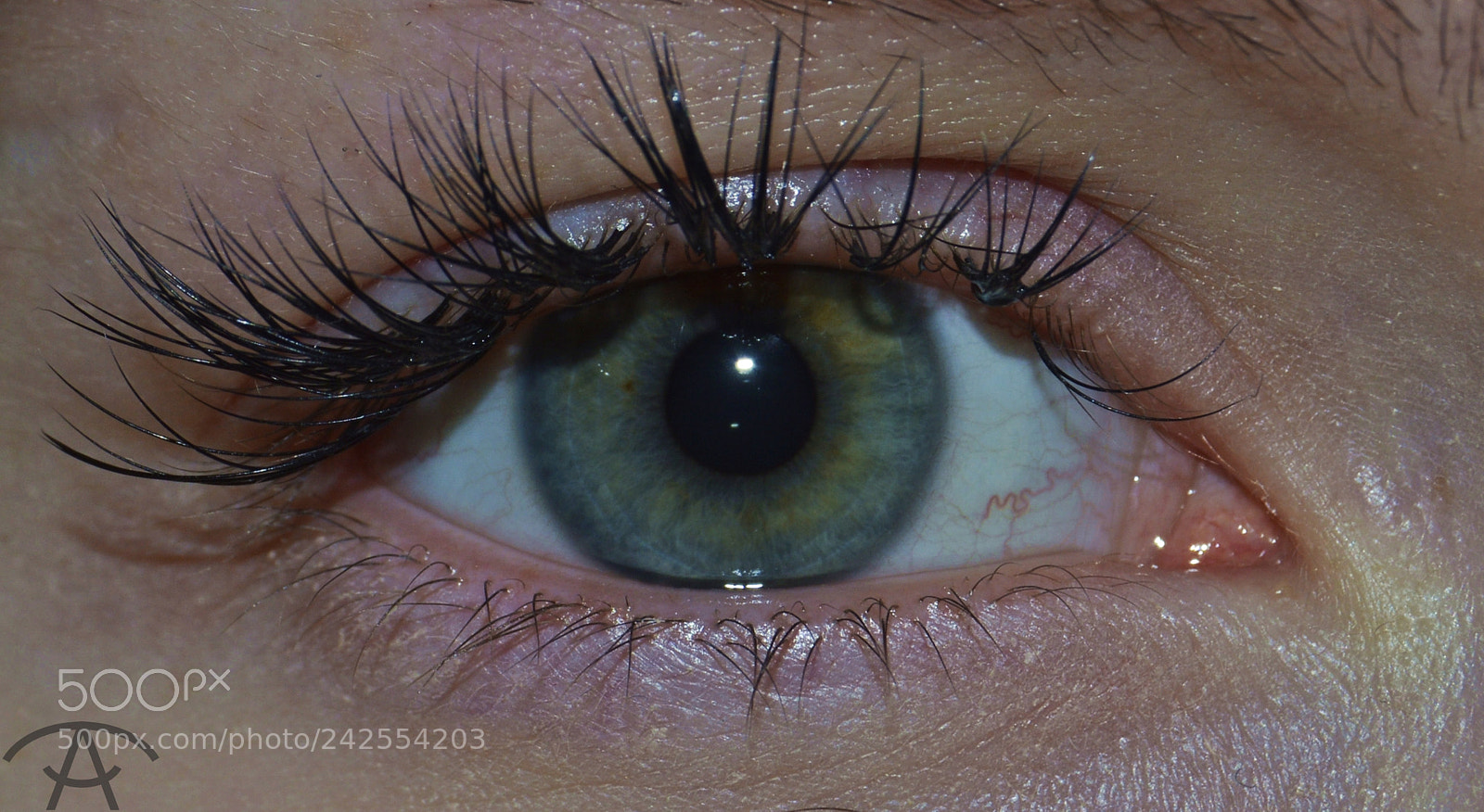 Nikon D3200 sample photo. Julia photography