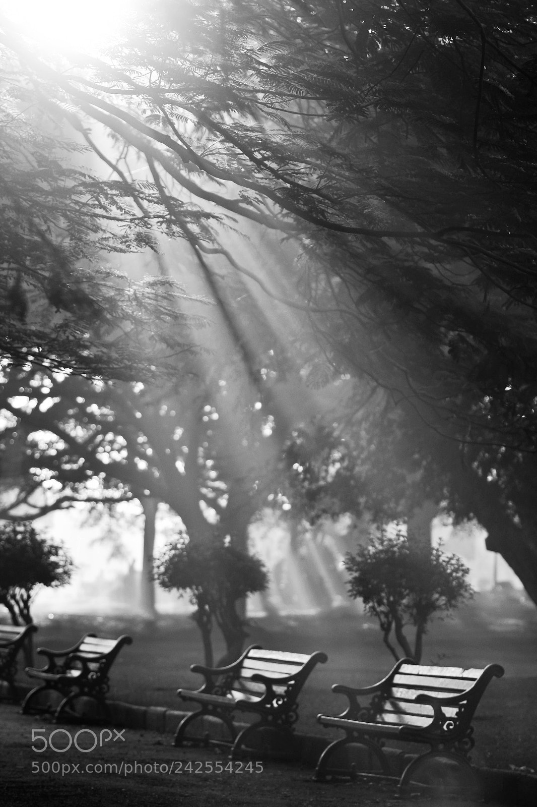 Canon EOS 550D (EOS Rebel T2i / EOS Kiss X4) sample photo. The waiting place photography