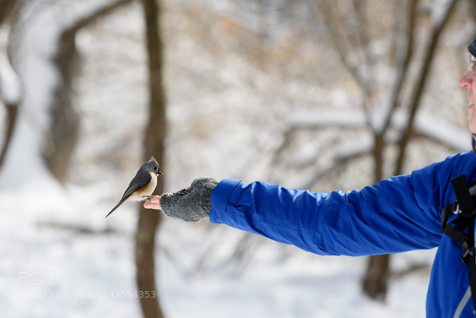Nikon D500 sample photo. Mendon ponds photography