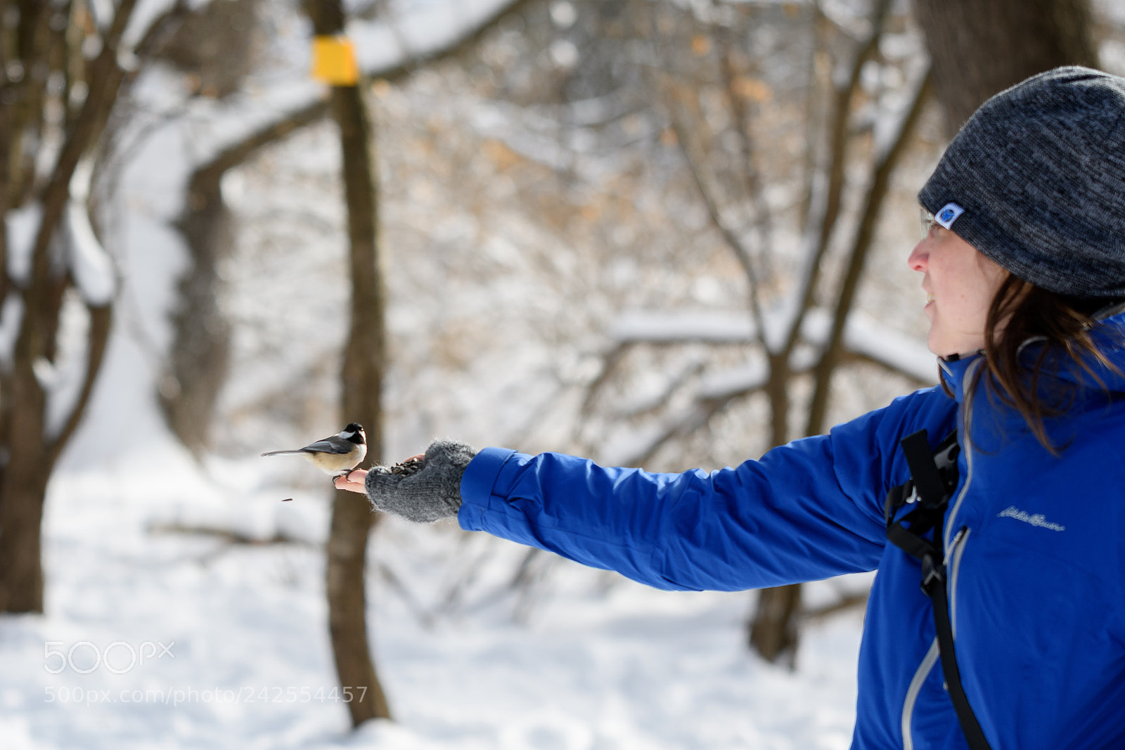 Nikon D500 sample photo. Mendon ponds photography