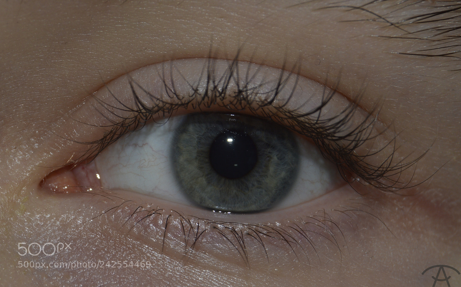 Nikon D3200 sample photo. Richard photography