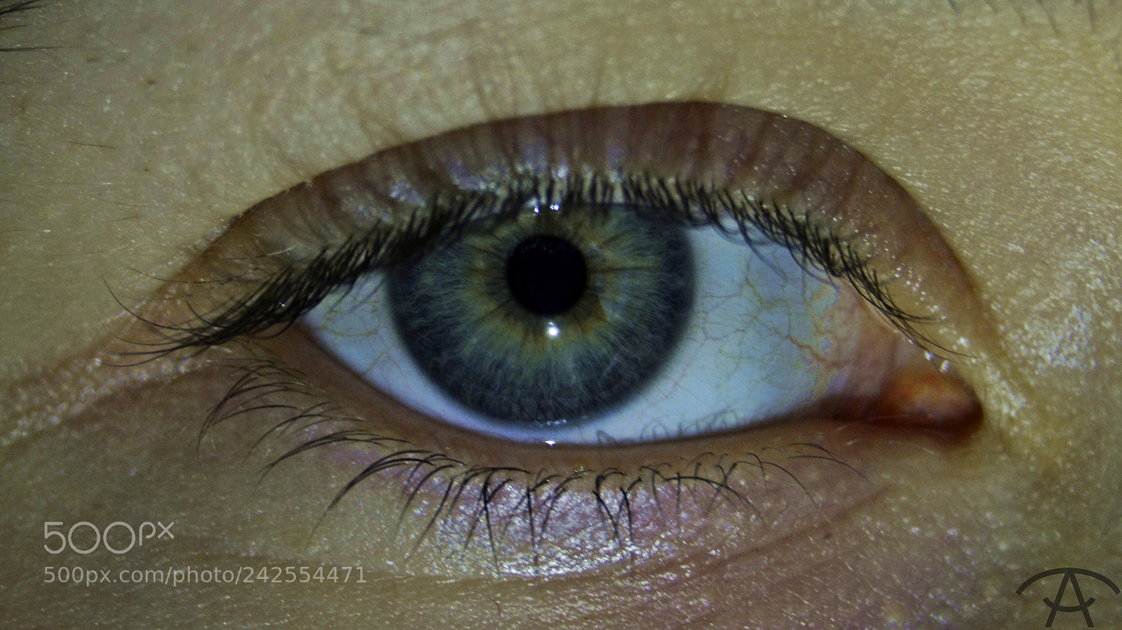 Nikon D3200 sample photo. Alexandra photography