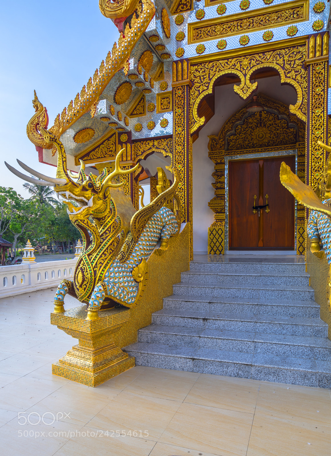 Nikon D850 sample photo. Rareté photography
