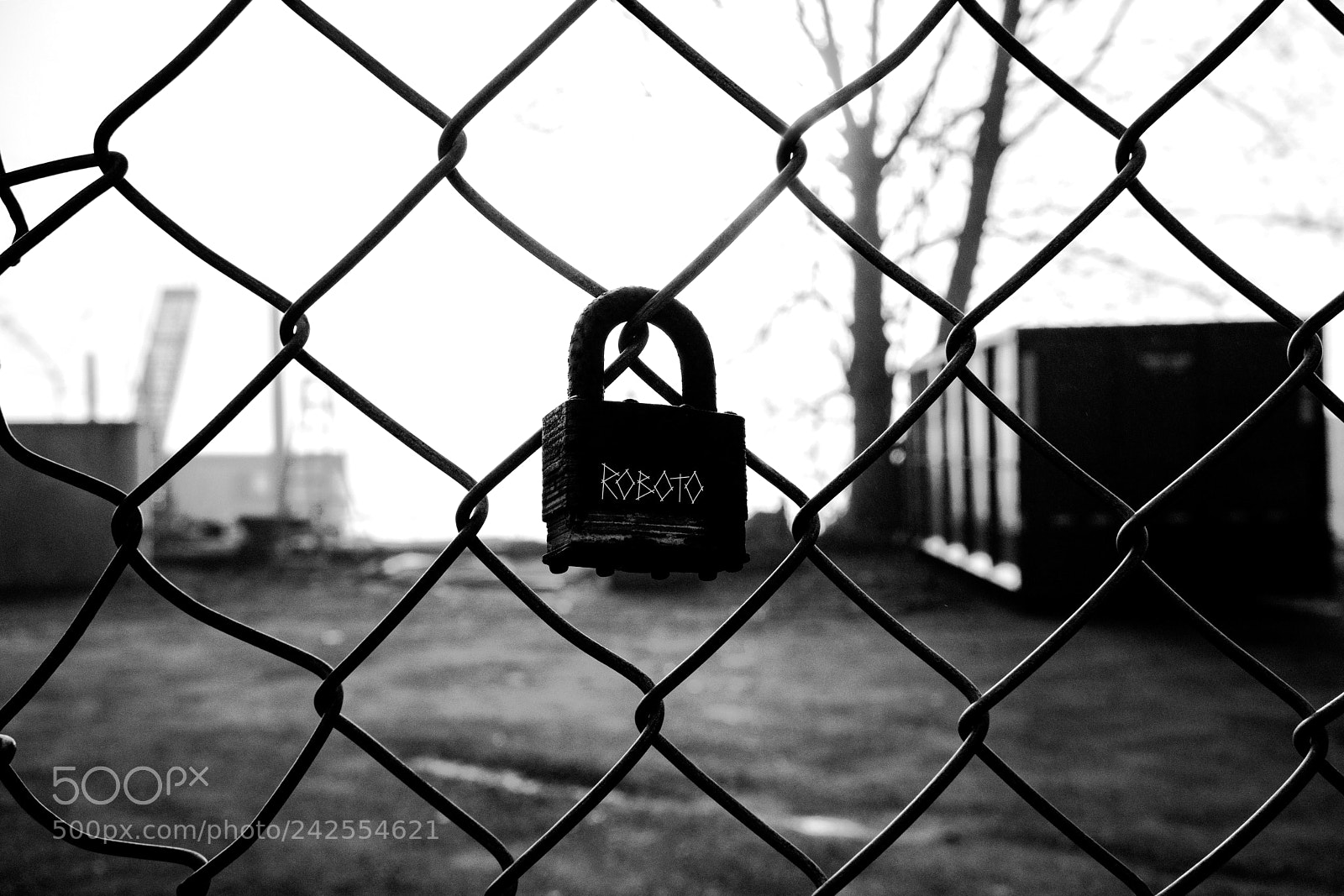 Sony a7 II sample photo. Roboto photography