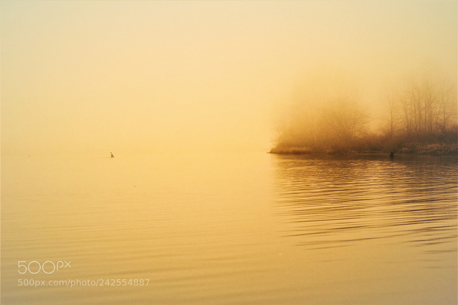 Canon EOS 60D sample photo. Boat in the fog photography