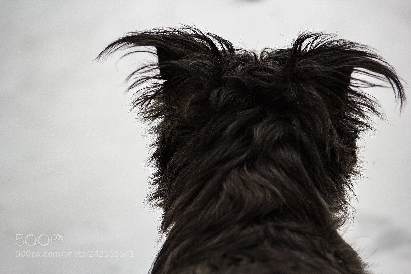 Canon EOS 60D sample photo. Untitled photography