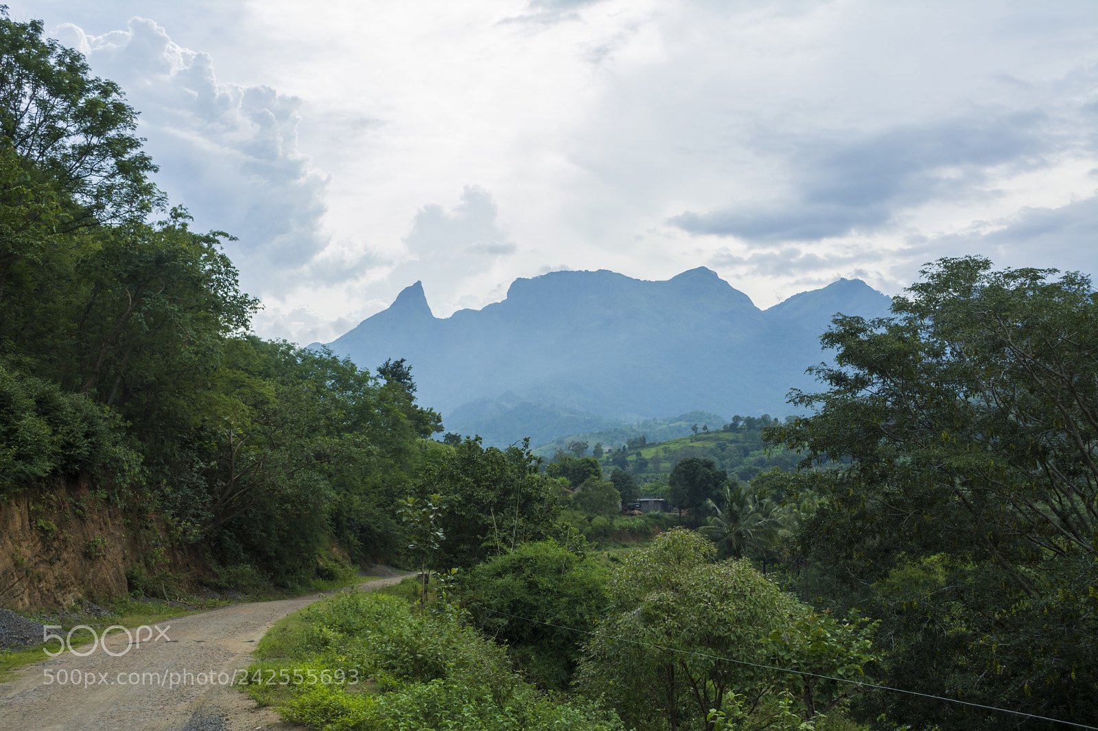 Nikon D7100 sample photo. Beauty of kerala photography