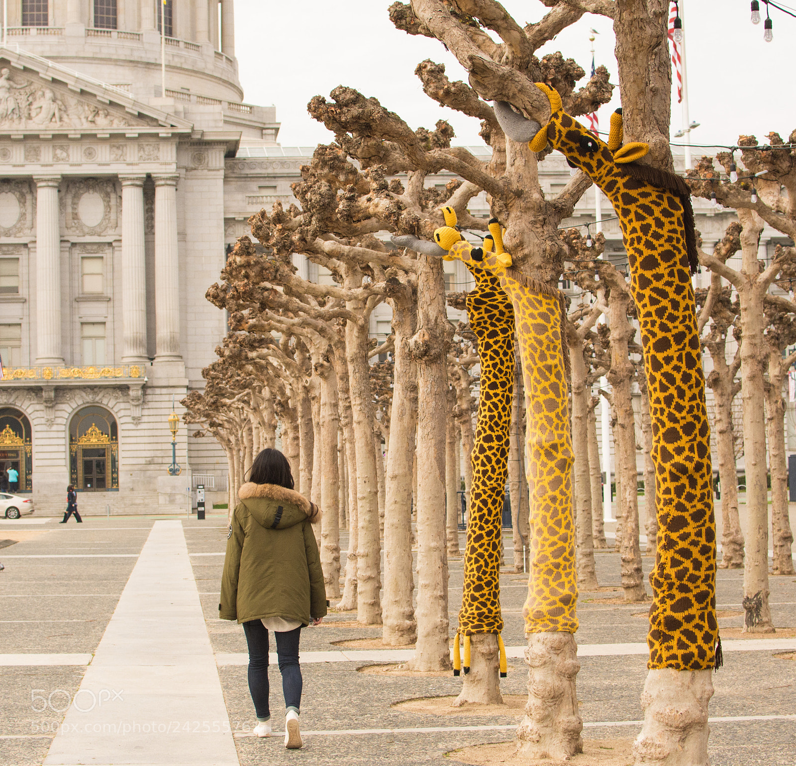 Nikon D7200 sample photo. Giraffe knit bombed trees photography