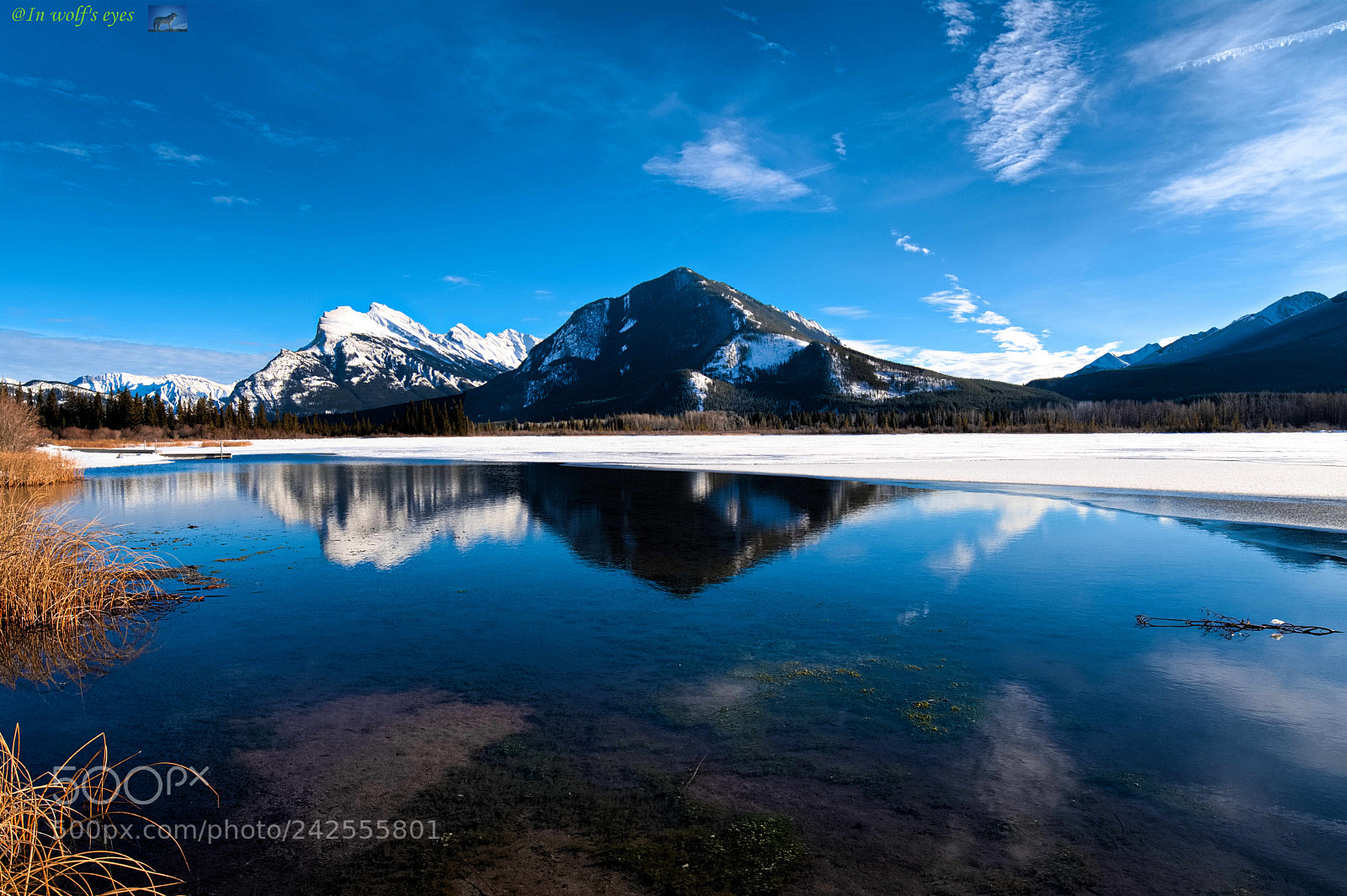 Nikon D500 sample photo. Clear day, canada photography