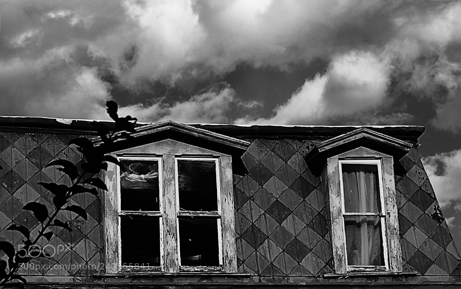 Nikon D3000 sample photo. Victorian black & white photography