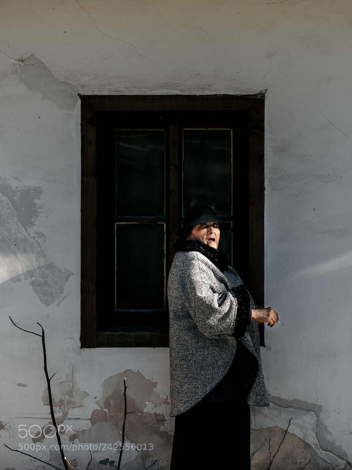Nikon D800 sample photo. Wanderings & encounters    12/20 photography