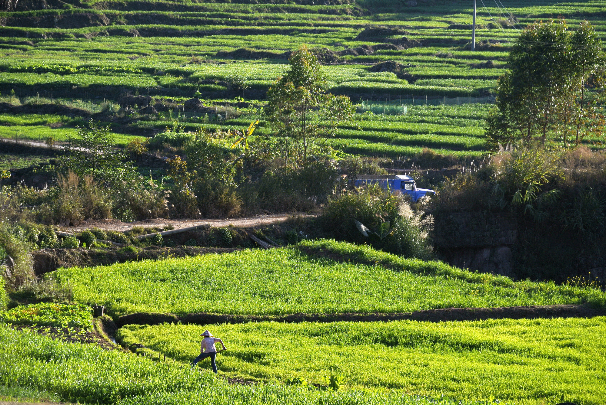 Nikon 1 J2 sample photo. Country photography