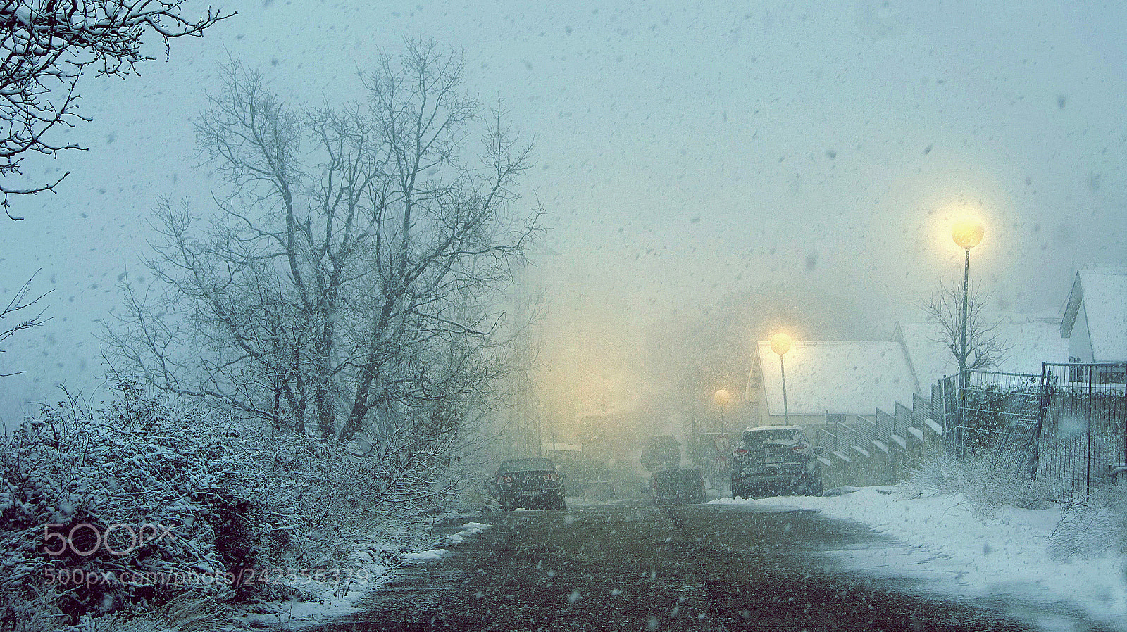 Sony SLT-A33 sample photo. Beautiful snowy day photography
