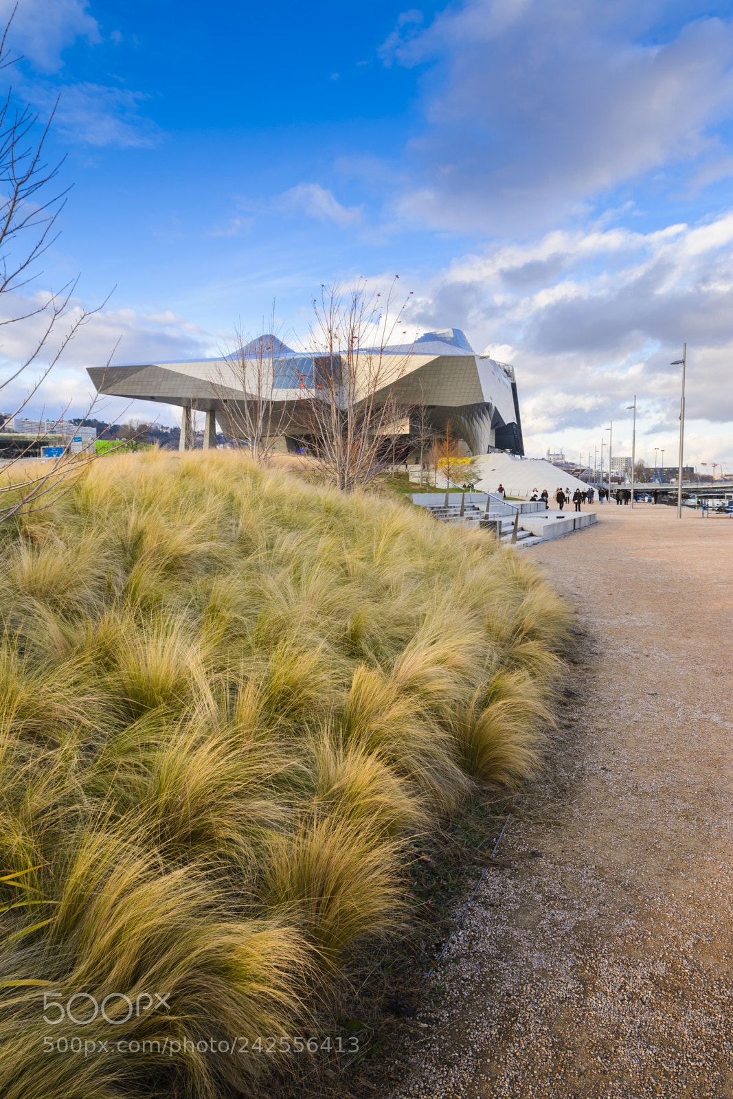 Nikon D7100 sample photo. Confluence museum at lyon photography