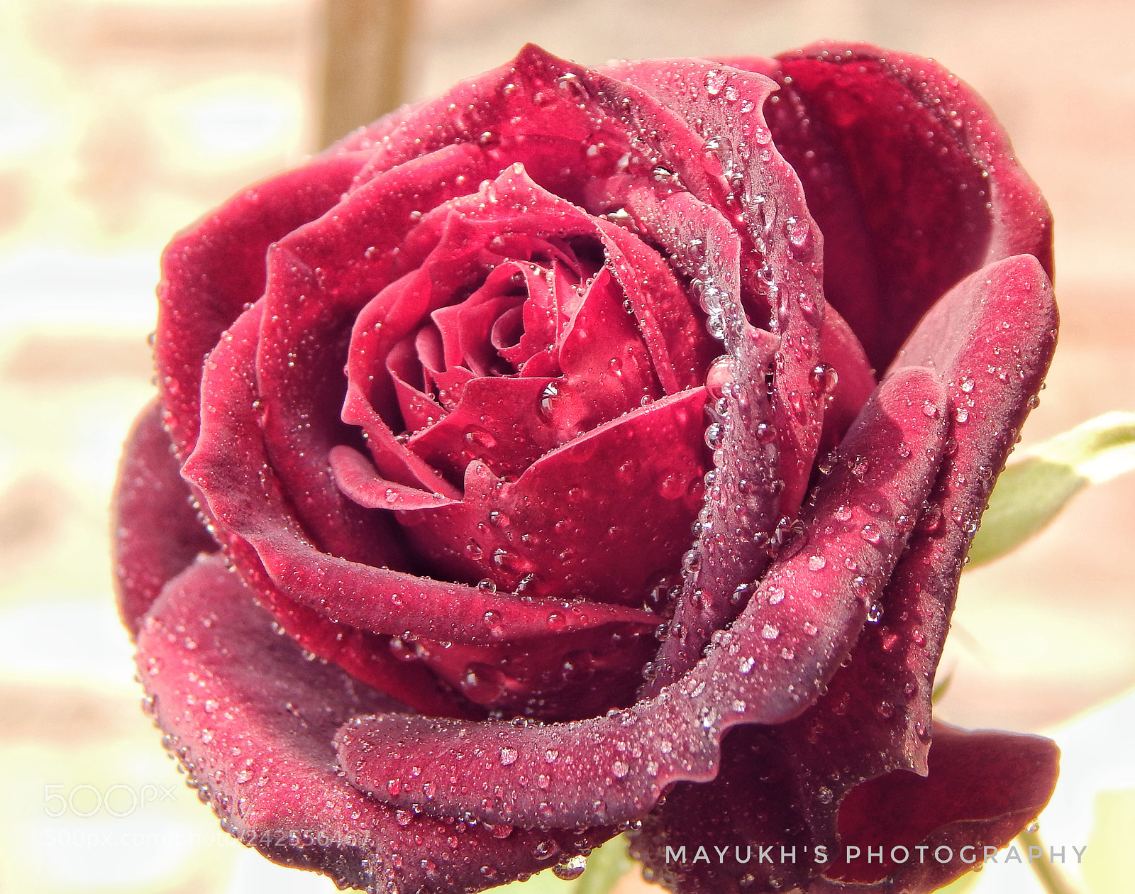 Nikon Coolpix L830 sample photo. When water makes your photography