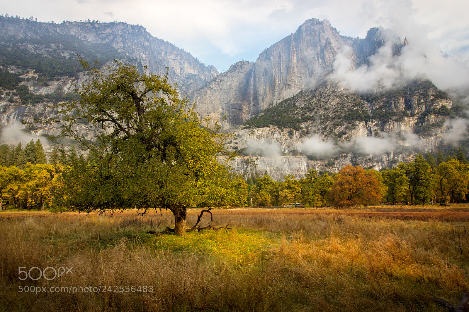 Canon EOS 60D sample photo. Autumn isolation photography