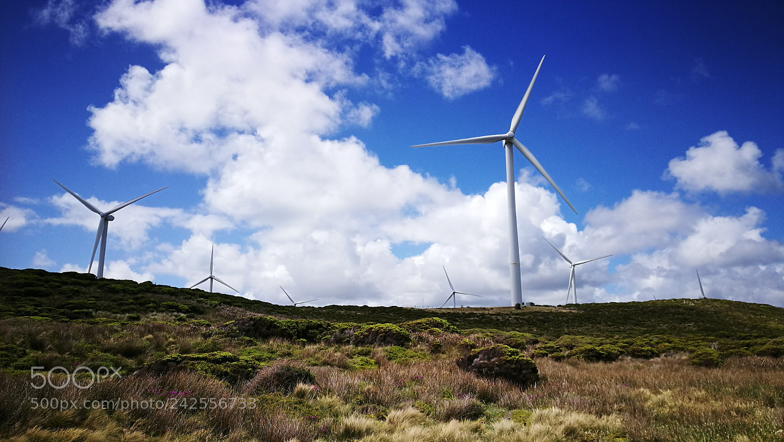 HUAWEI P9 sample photo. Wind turbines photography
