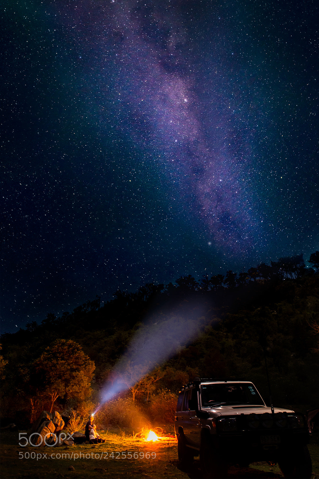 Nikon D610 sample photo. Star gazing photography