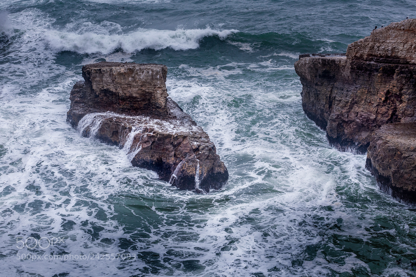 Nikon D810 sample photo. Shark fin cove photography