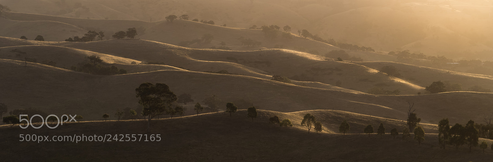 Olympus OM-D E-M1 sample photo. Valley of a thousand photography