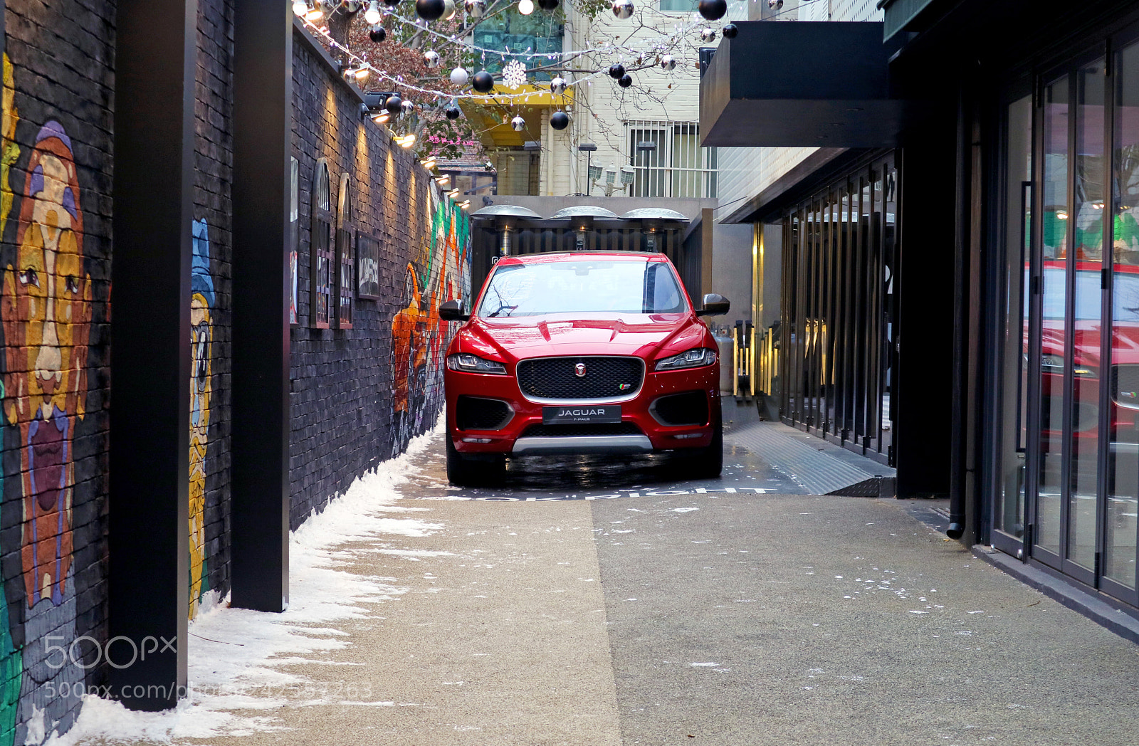 Canon EOS M3 sample photo. Red jaguar photography
