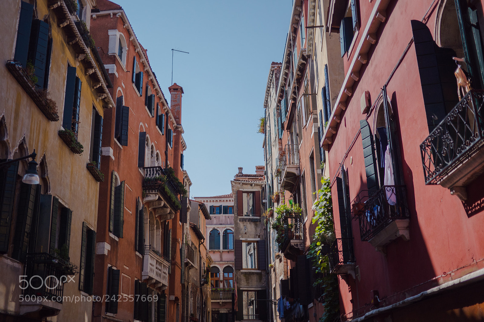 Panasonic Lumix DC-GH5 sample photo. Venice photography