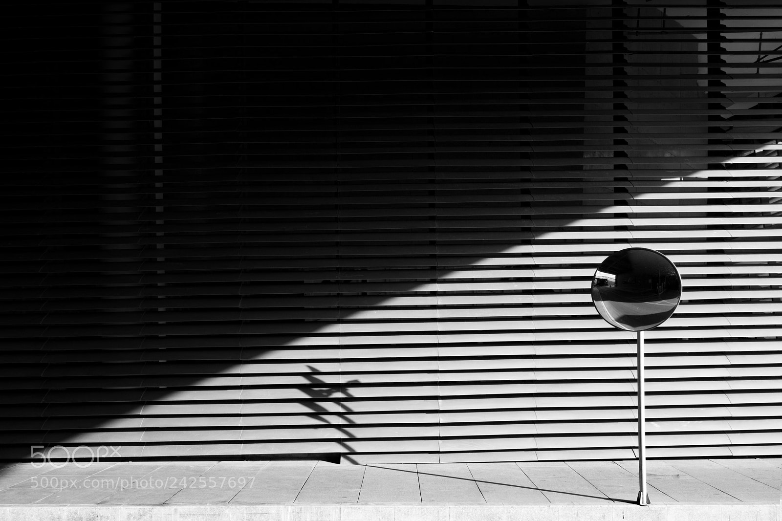 Nikon D7200 sample photo. B&w photography