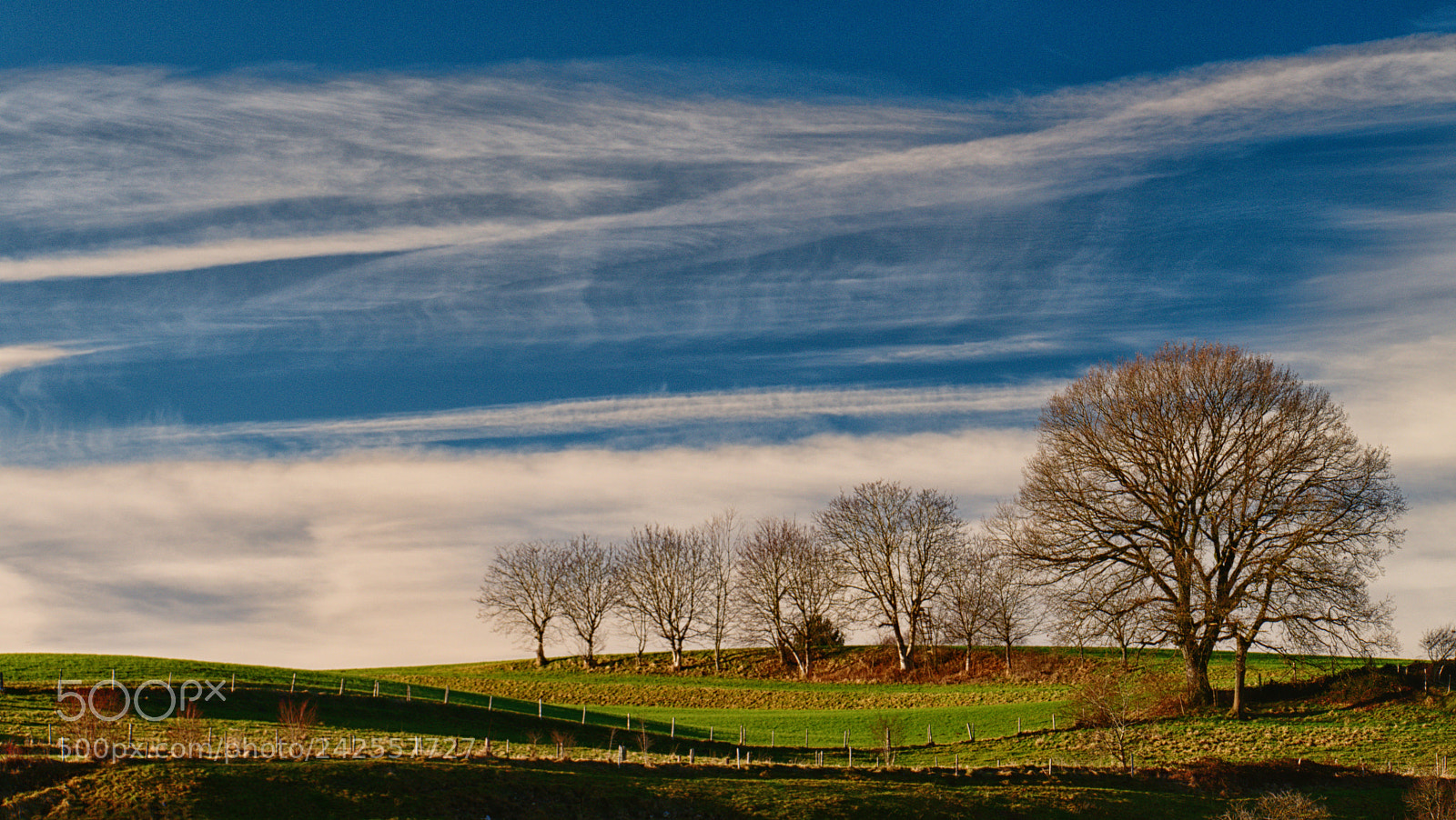Panasonic Lumix DMC-FZ1000 sample photo. Farmland photography