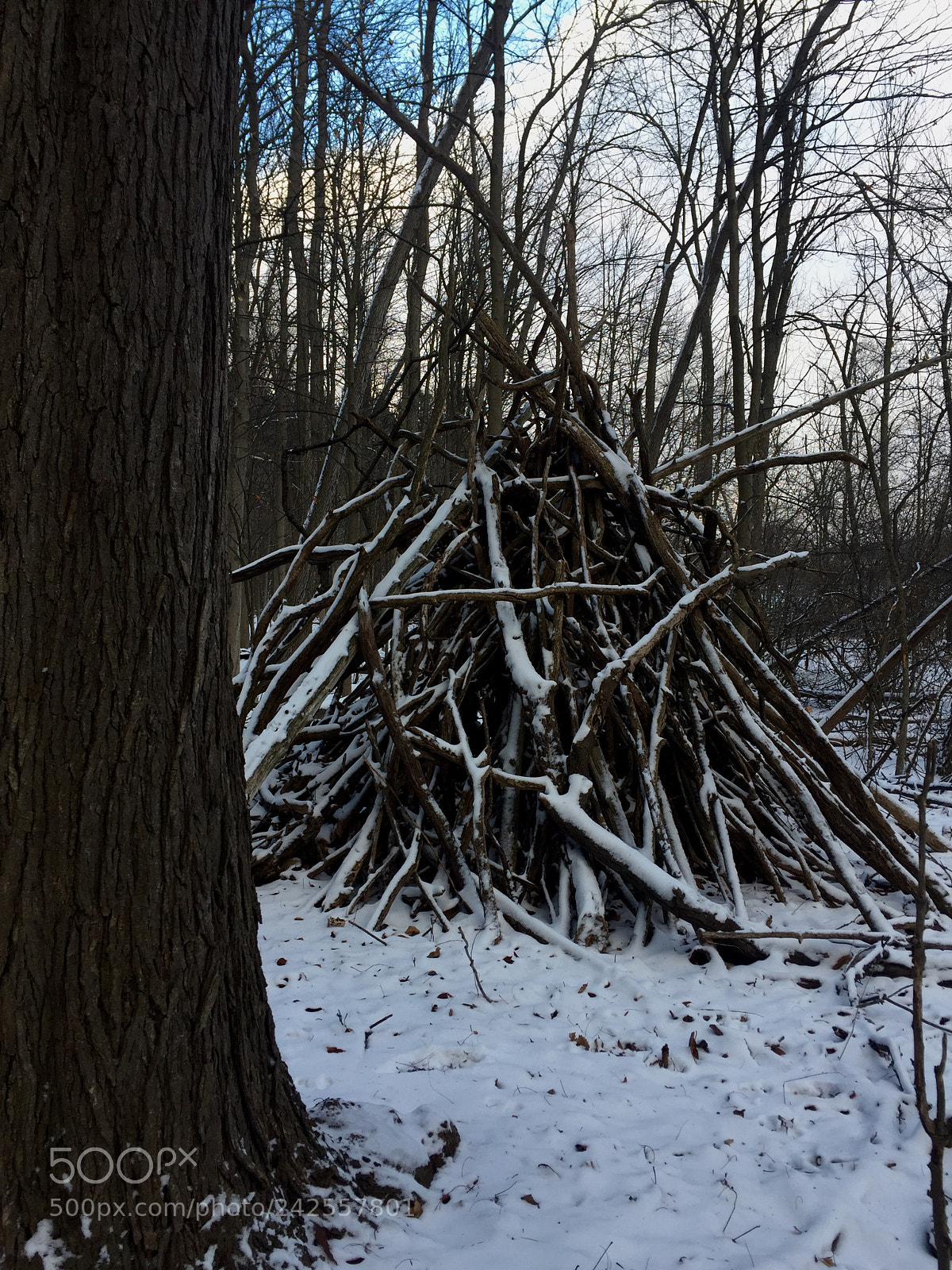 Apple iPhone 6 sample photo. Stick tepee in the photography