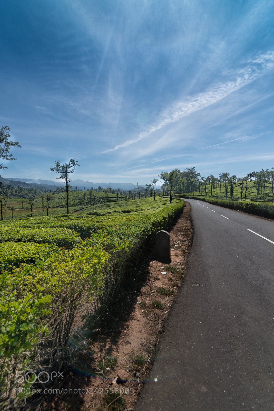 Nikon D800E sample photo. Untitled photography