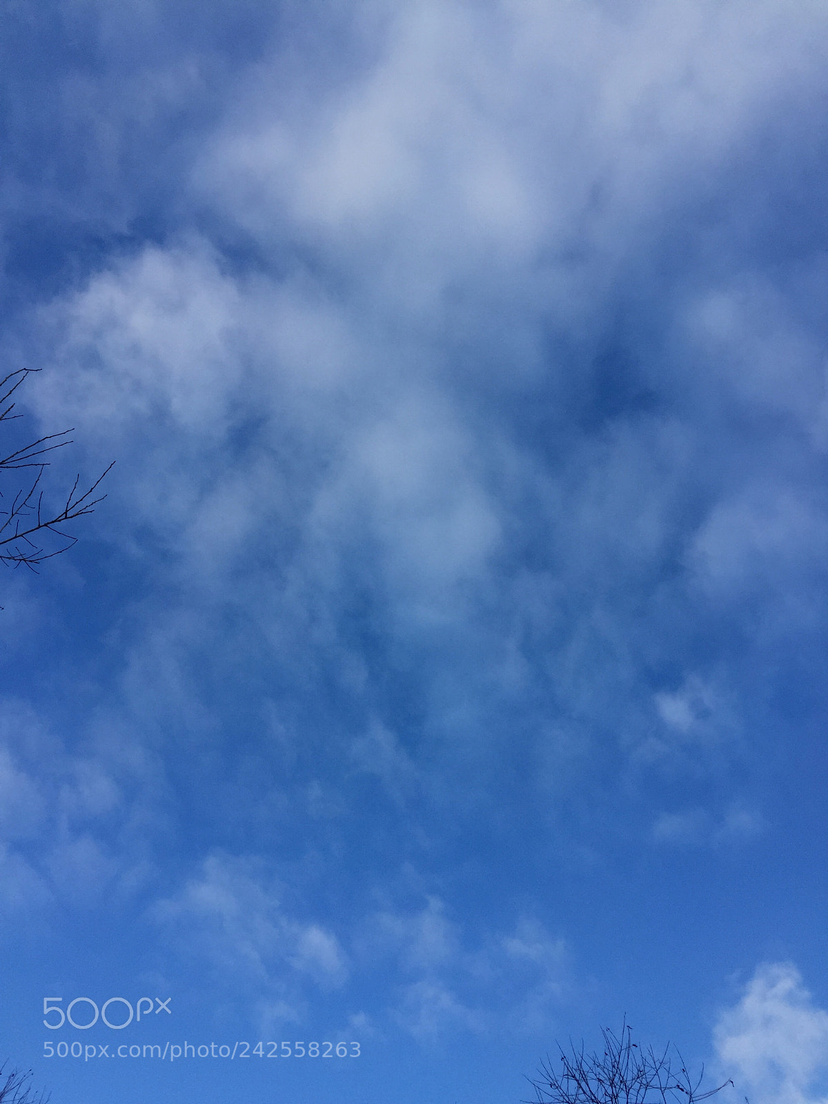 Apple iPhone 6 sample photo. Winter sky ~ photography