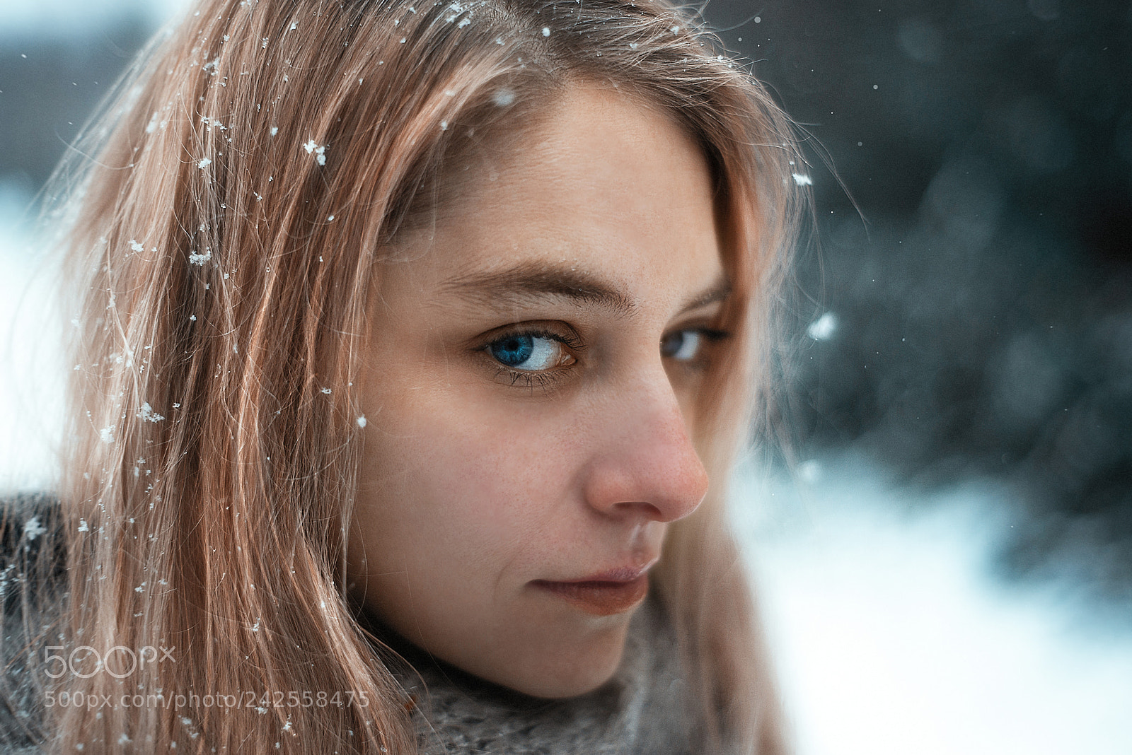 Nikon D600 sample photo. Daughter of winter photography