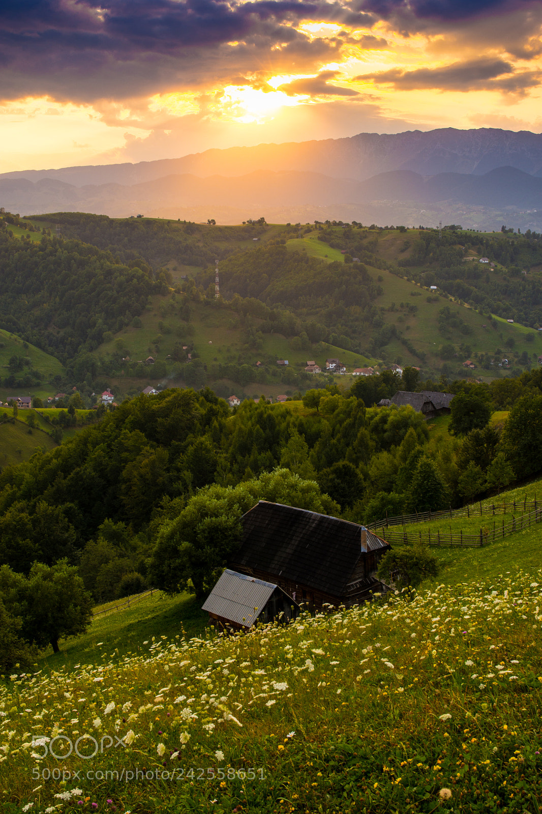 Nikon D7200 sample photo. A greenish sunset photography