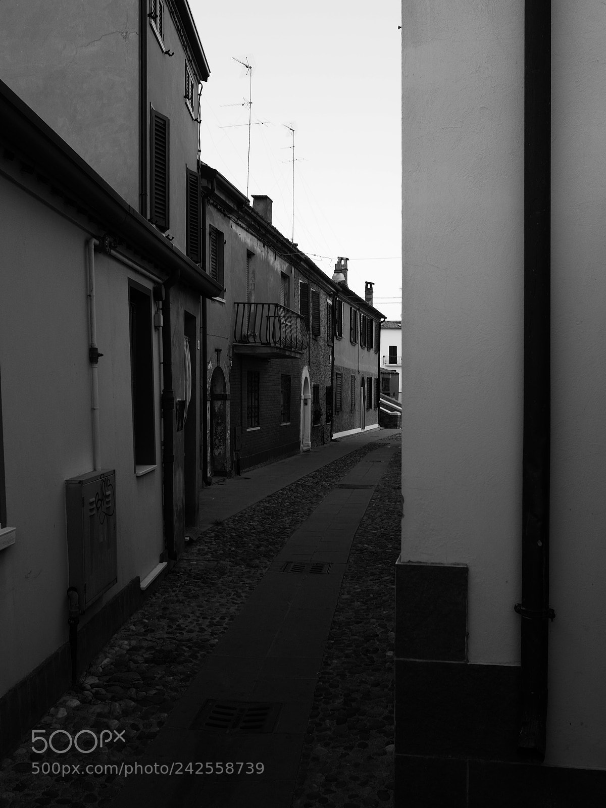 Olympus OM-D E-M5 II sample photo. Comacchio 17p8076149 20k em5ii photography