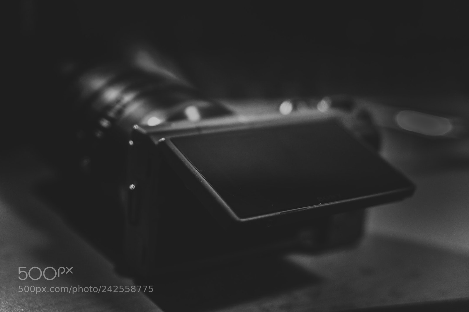 Nikon D700 sample photo. Sony photography