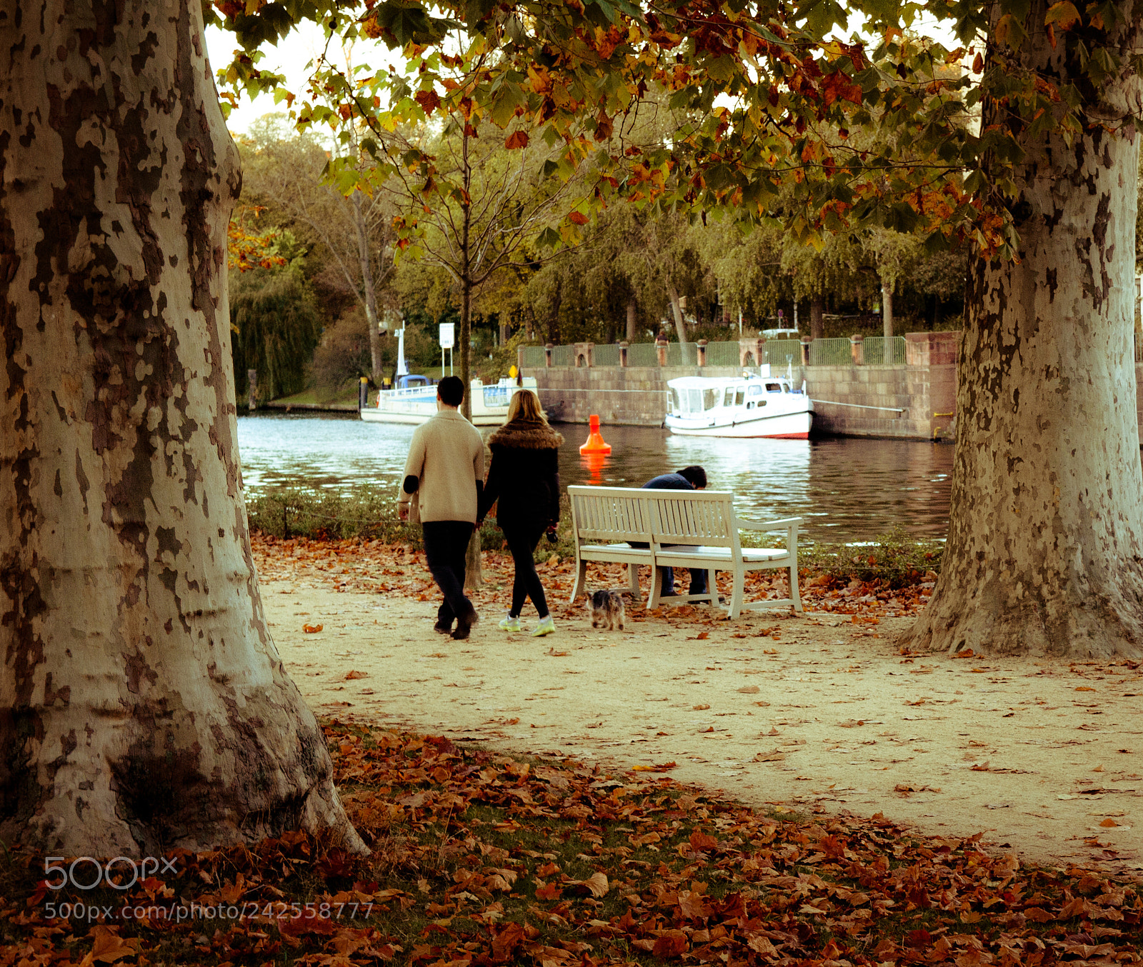 Canon EOS 400D (EOS Digital Rebel XTi / EOS Kiss Digital X) sample photo. Autumn walk photography