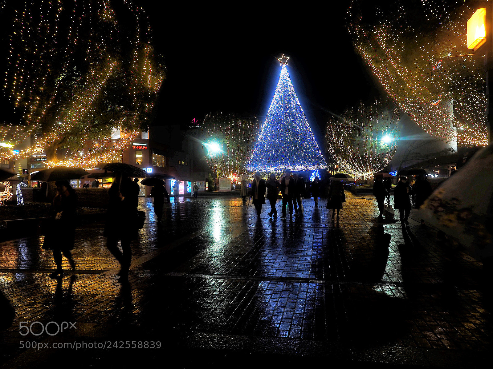 Olympus OM-D E-M1 sample photo. Illumination on the rainy photography