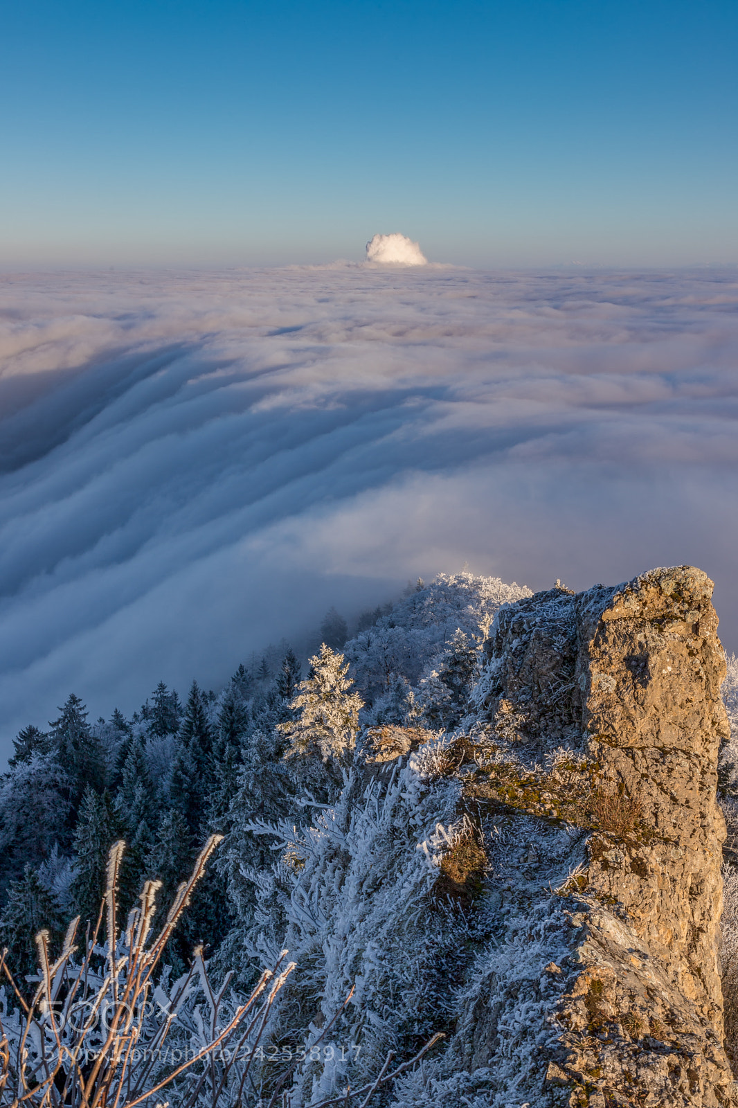 Canon EOS 6D Mark II sample photo. Flowing fog photography