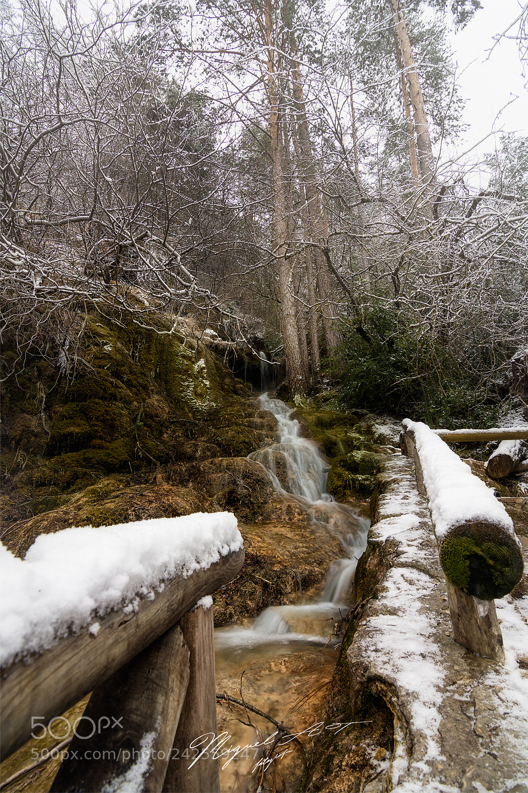 Nikon D7200 sample photo. ### photography