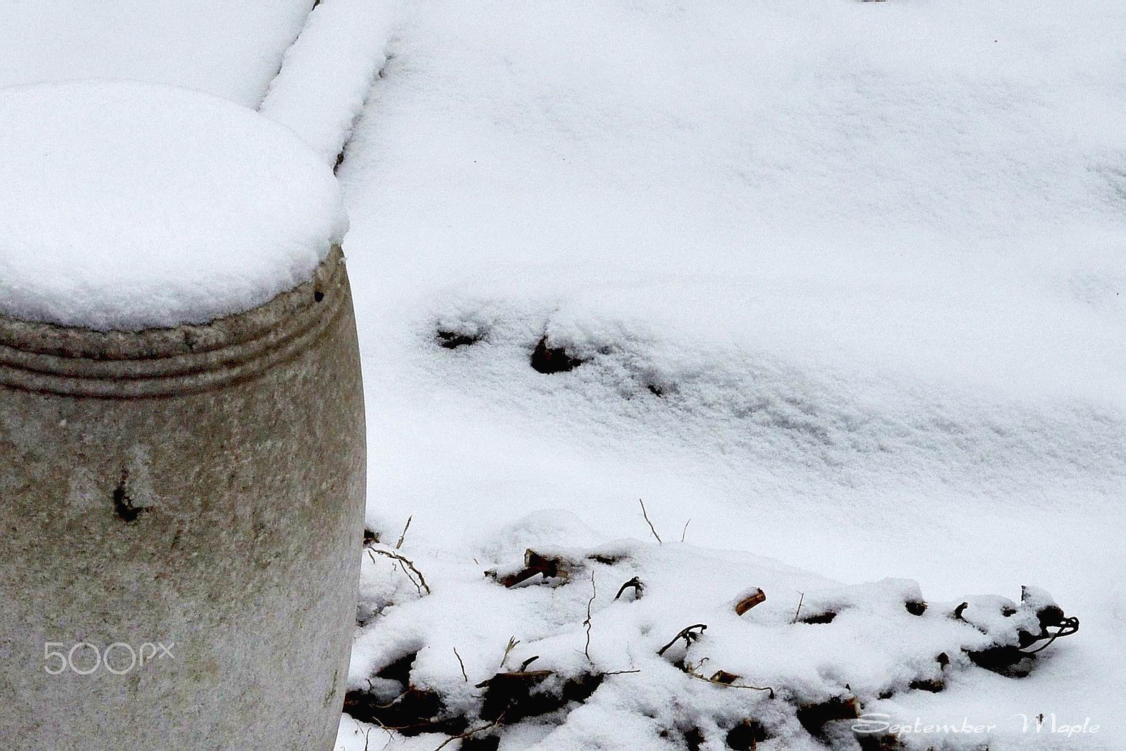 Nikon D90 + Nikon AF Nikkor 50mm F1.8D sample photo. 今年的第一场雪 photography