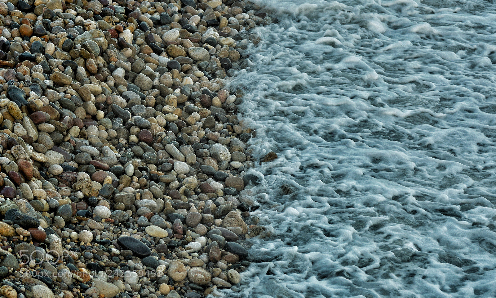 Nikon D7100 sample photo. Untitled photography