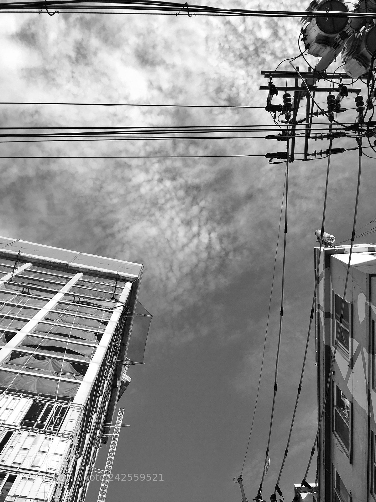Apple iPhone 6 sample photo. Sky wire b&w photography