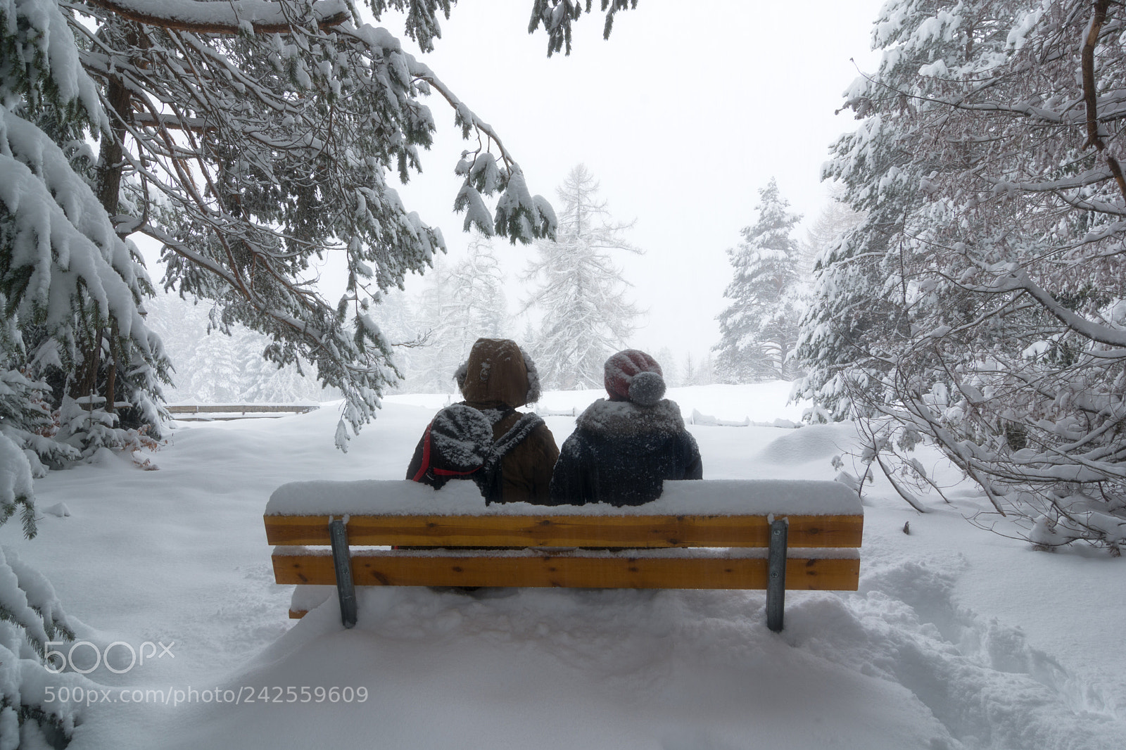 Nikon D7100 sample photo. Two and winter photography